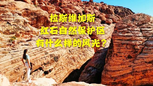 我的vlog生活